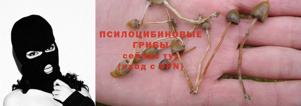 хмурый Богородицк