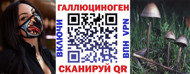 Псилоцибиновые грибы Psilocybine cubensis  где найти   Балаково 